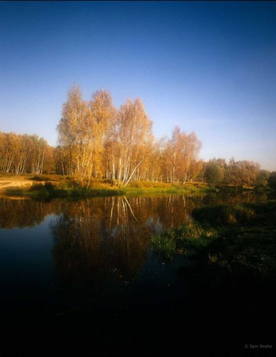 Golden-autumn-lake-in-Malahovka